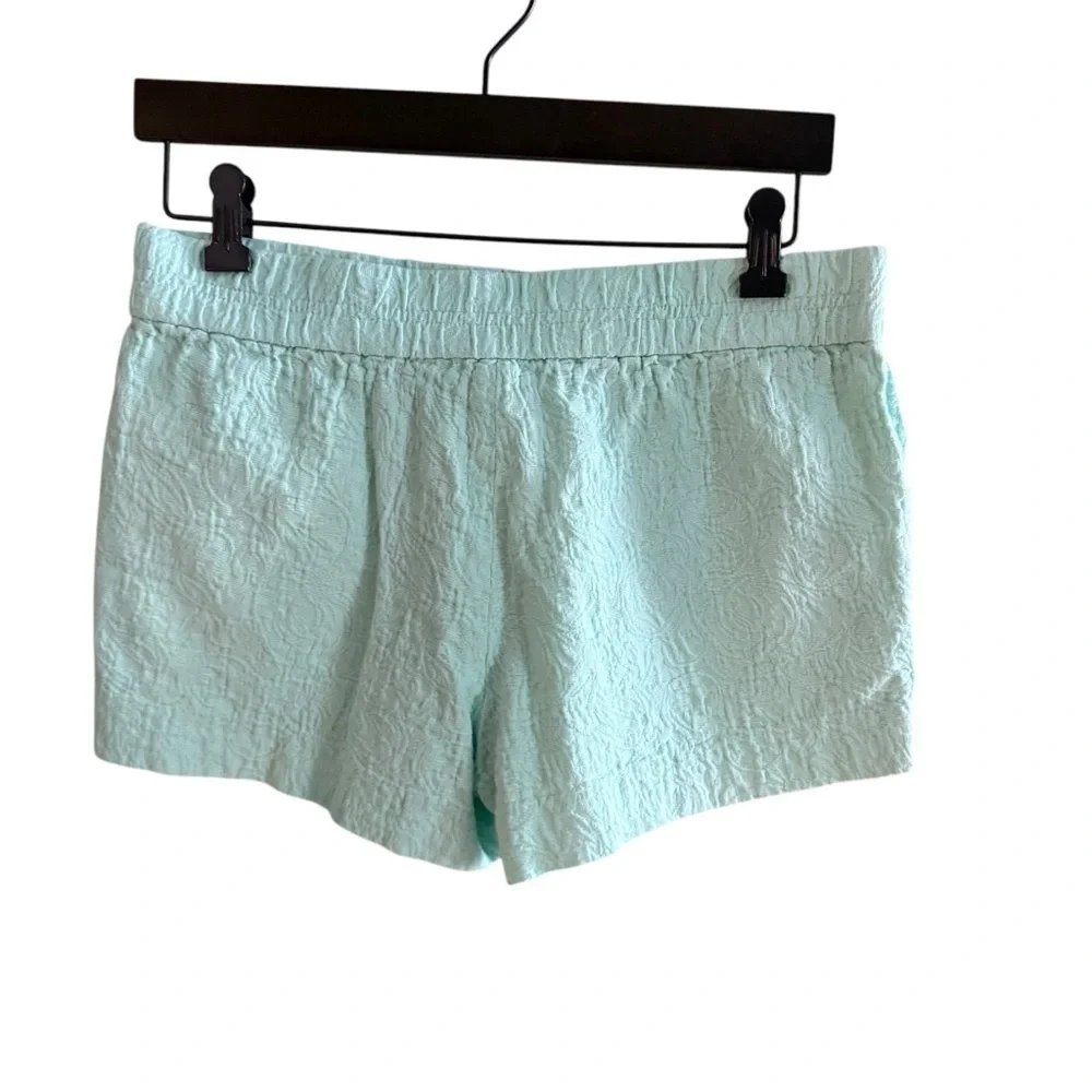 J Crew Women's 4 classic Shorts Cotton Mint Green Textured beach spring summer
